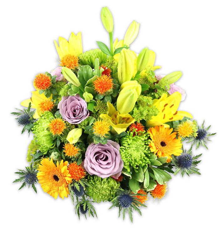 A bright, expertly balanced floral composition photographed on crisp white, where every bloom reads clearly and every texture is highlighted. Several yellow Asiatic lilies form the vertical centrepiece-some petals fully open and freckled, others appearing as graceful chartreuse buds that point upward-while two or three pale lavender-purple roses are nestled close to the core, their layered petals offering a softer, calming focal point. Large orange Gerbera daisies sit forward, their flat, sunlike faces and darker central disks drawing the eye, and abundant lime-green cushion chrysanthemums fill and soften the spaces between, giving the bouquet a lush, plush silhouette. Accents of small spherical orange and golden yellow flowers add lively specks of color and a slightly spiky texture, playing against the smooth rose petals. Blue-grey sea thistles (Eryngium) peek from the sides and lower edges, their sharp, architectural bracts introducing a cool, contemporary edge that contrasts beautifully with the warm palette. A mix of broad lily leaves and finer glossy foliage frames the arrangement and creates depth, while studio lighting accentuates petal translucence and leaf sheen. As prepared by local hands in Cranham-Flower Delivery Cranham often creates similarly joyful displays for celebrations, anniversaries, and sympathy-this bouquet feels both festive and comforting, suitable as a striking mantlepiece centrepiece or a thoughtful gift delivered along Cranham High Street or to nearby Upminster. The overall impression is one of warmth, skilled composition, and seasonal exuberance.